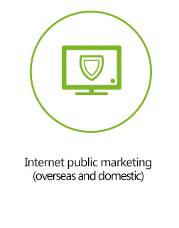 Internet public marketing (overseas and domestic)