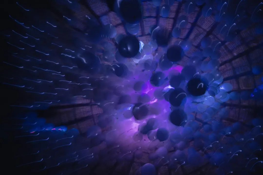 1696756539132460.jpg